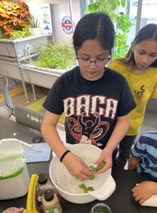 Villa Bella Expeditionary School enrichment program
