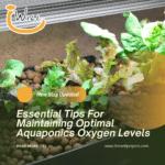 Essential Tips For Maintaining Optimal Aquaponics Oxygen Levels
