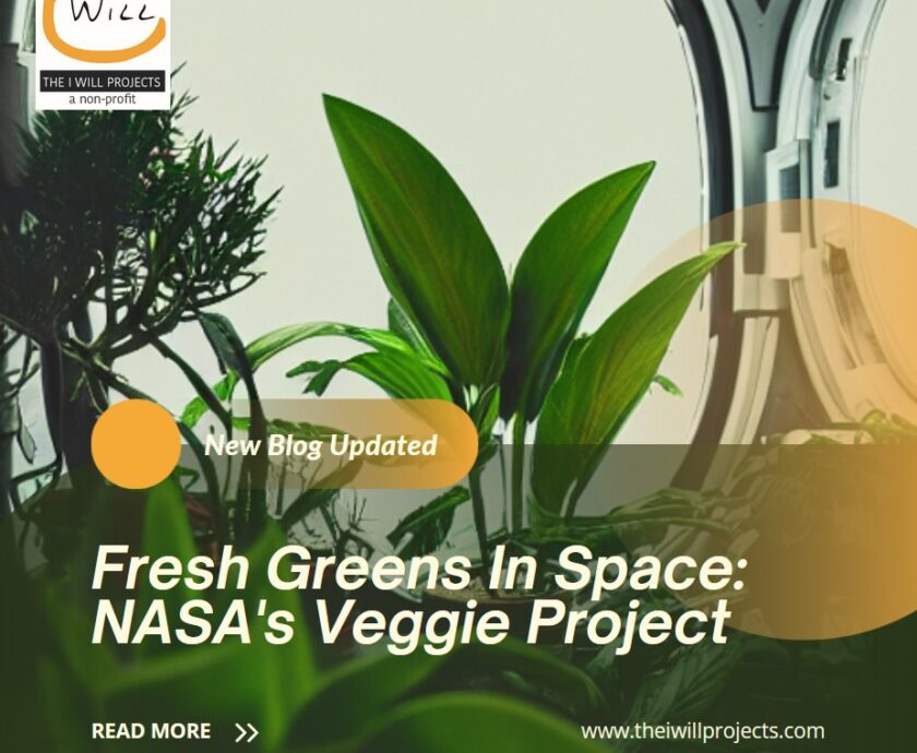 nasa's veggie project