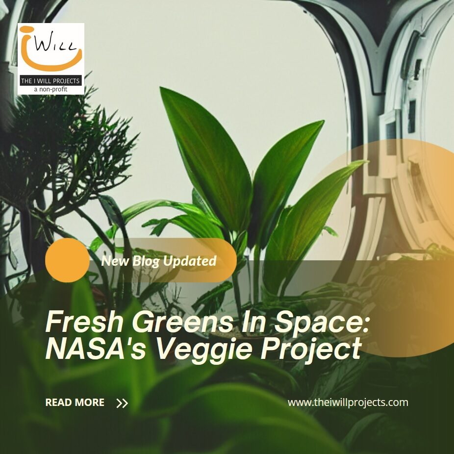 nasa's veggie project