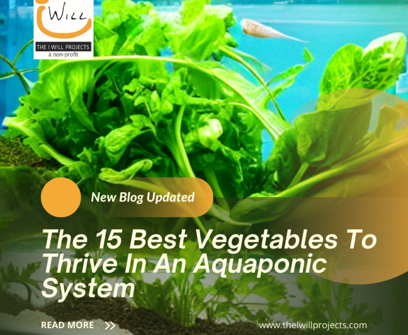 The 15 Best Vegetables To Thrive In An-2582178
