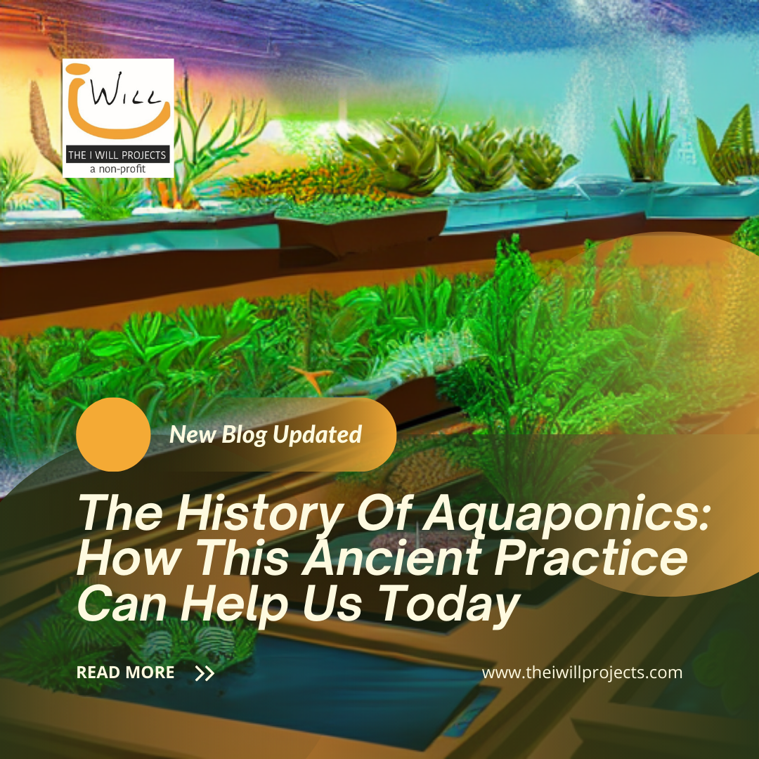 The History Of Aquaponics