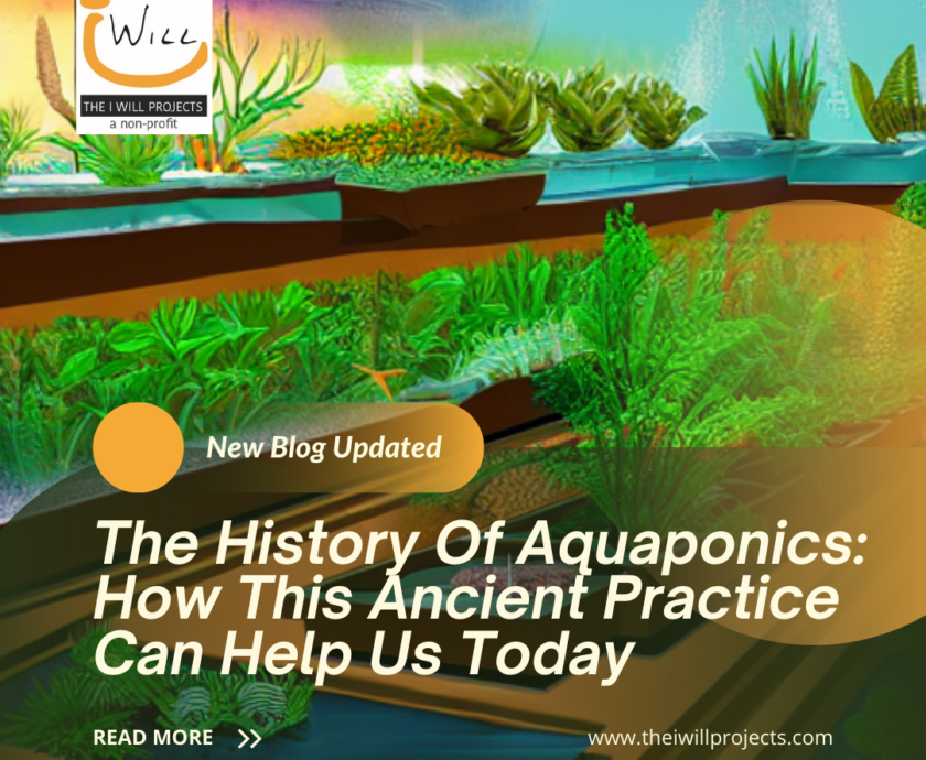 The History Of Aquaponics