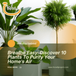 Breathe Easy: Discover 10 Plants To Purify Your Home's Air