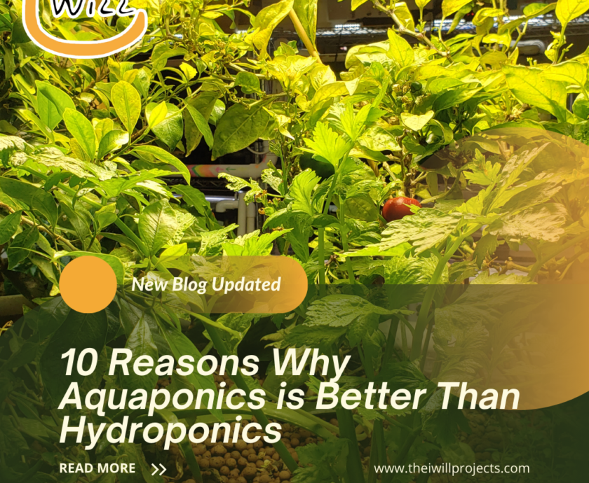 reasons why aquaponics is better than hydroponics