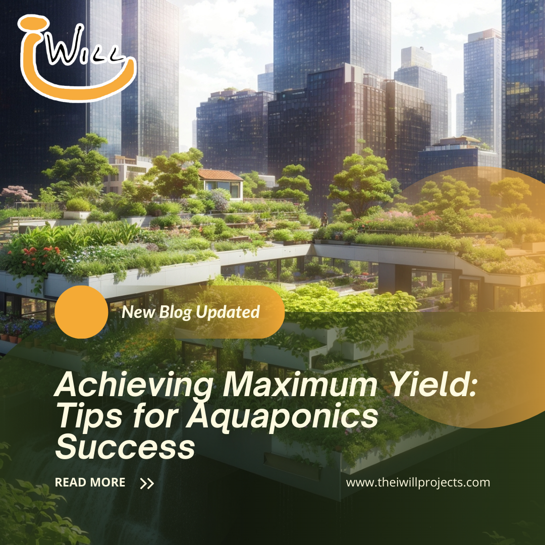 tips for aquaponics success