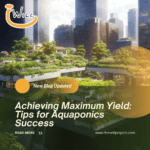 Achieving Maximum Yield: Tips for Aquaponics Success