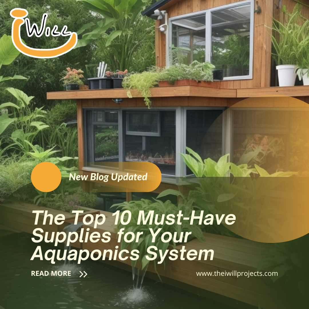 must-have supplies for your aquaponics system