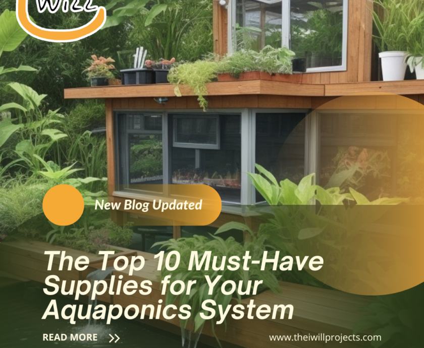 must-have supplies for your aquaponics system