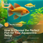 How to Choose the Perfect Fish for Your Aquaponics Setup