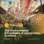 The Environmental Advantages of Aquaponics Systems