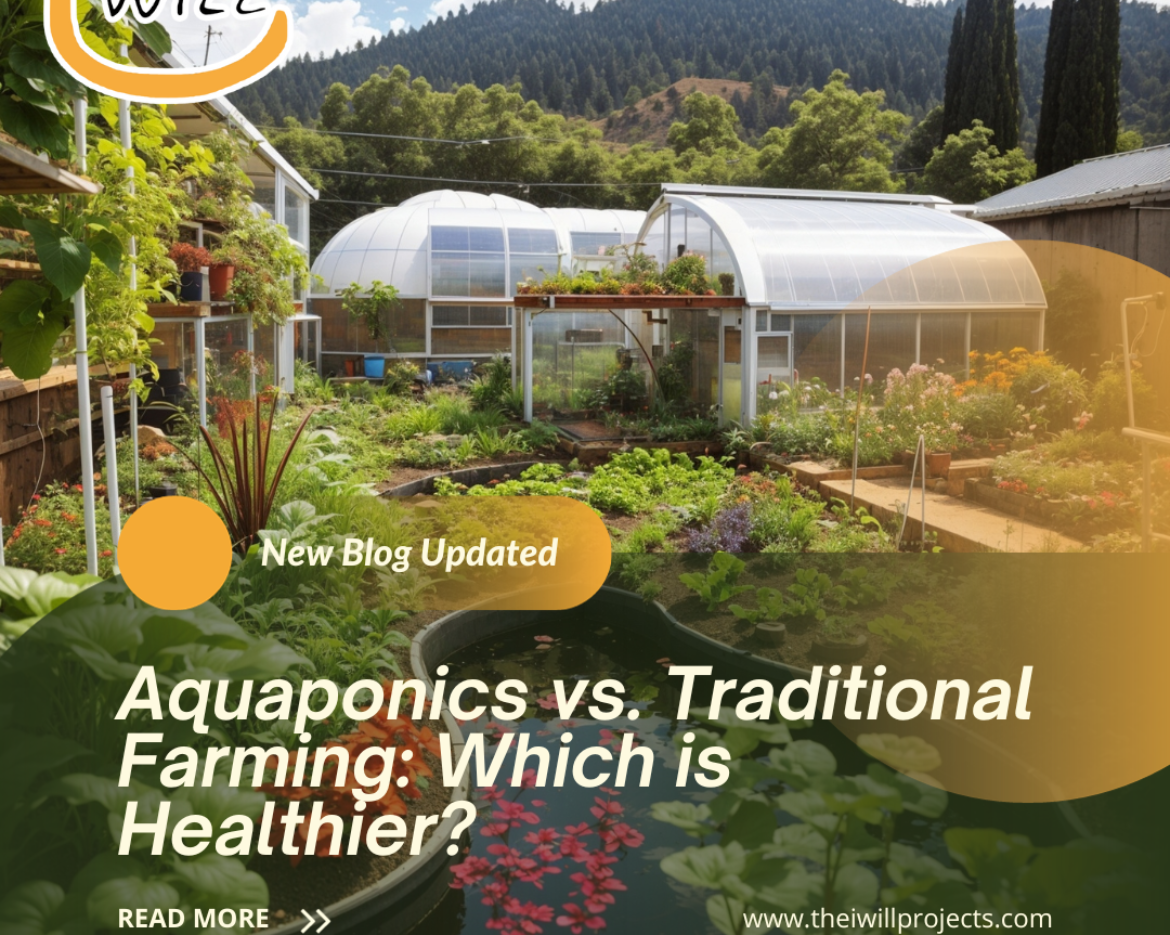 aquaponics vs traditional farming