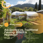 Aquaponics vs. Traditional Farming: Which is Healthier?