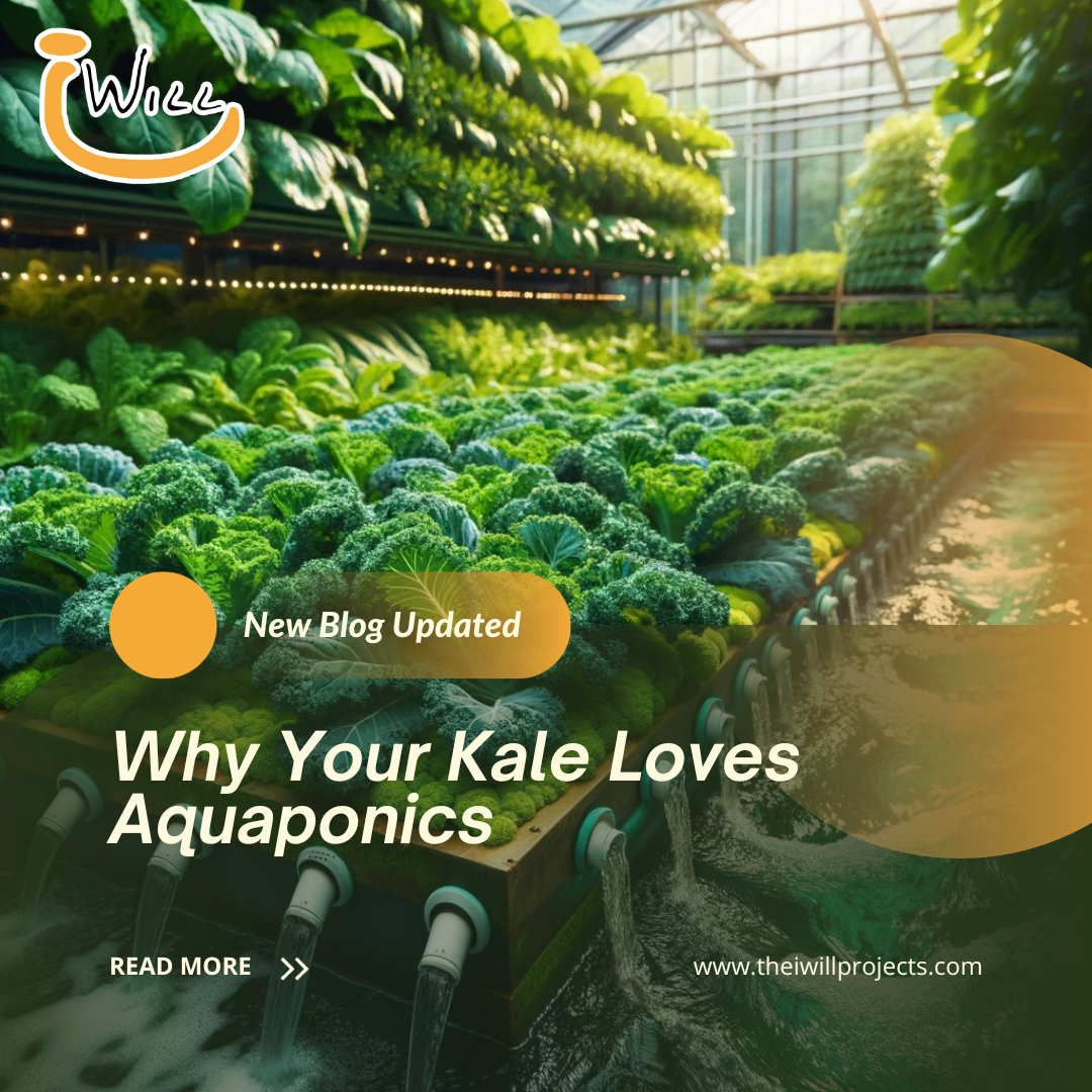 Why Your Kale Loves Aquaponics