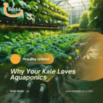 Why Your Kale Loves Aquaponics