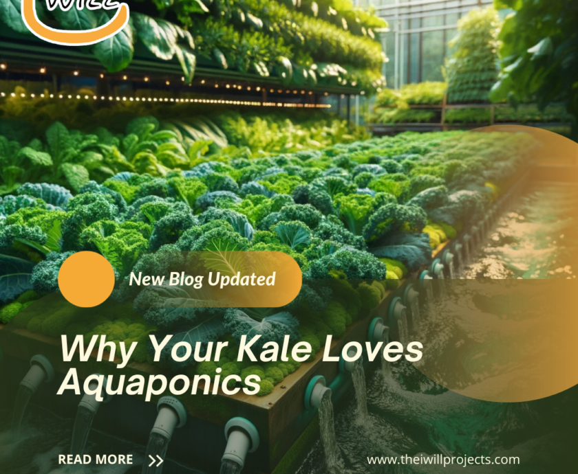 Why Your Kale Loves Aquaponics