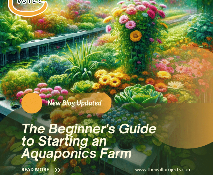 starting an aquaponics farm