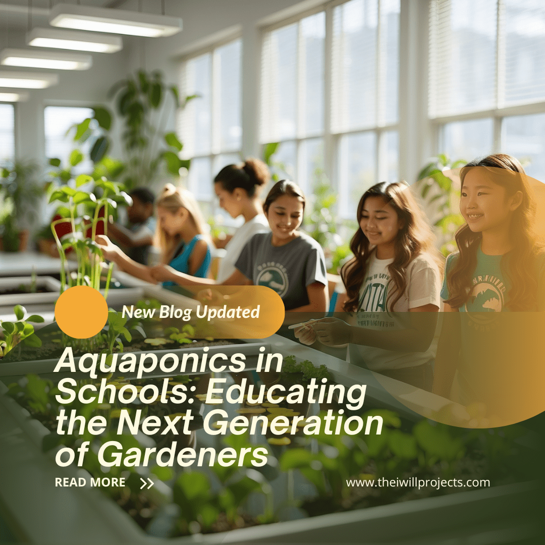 Aquaponics in Schools