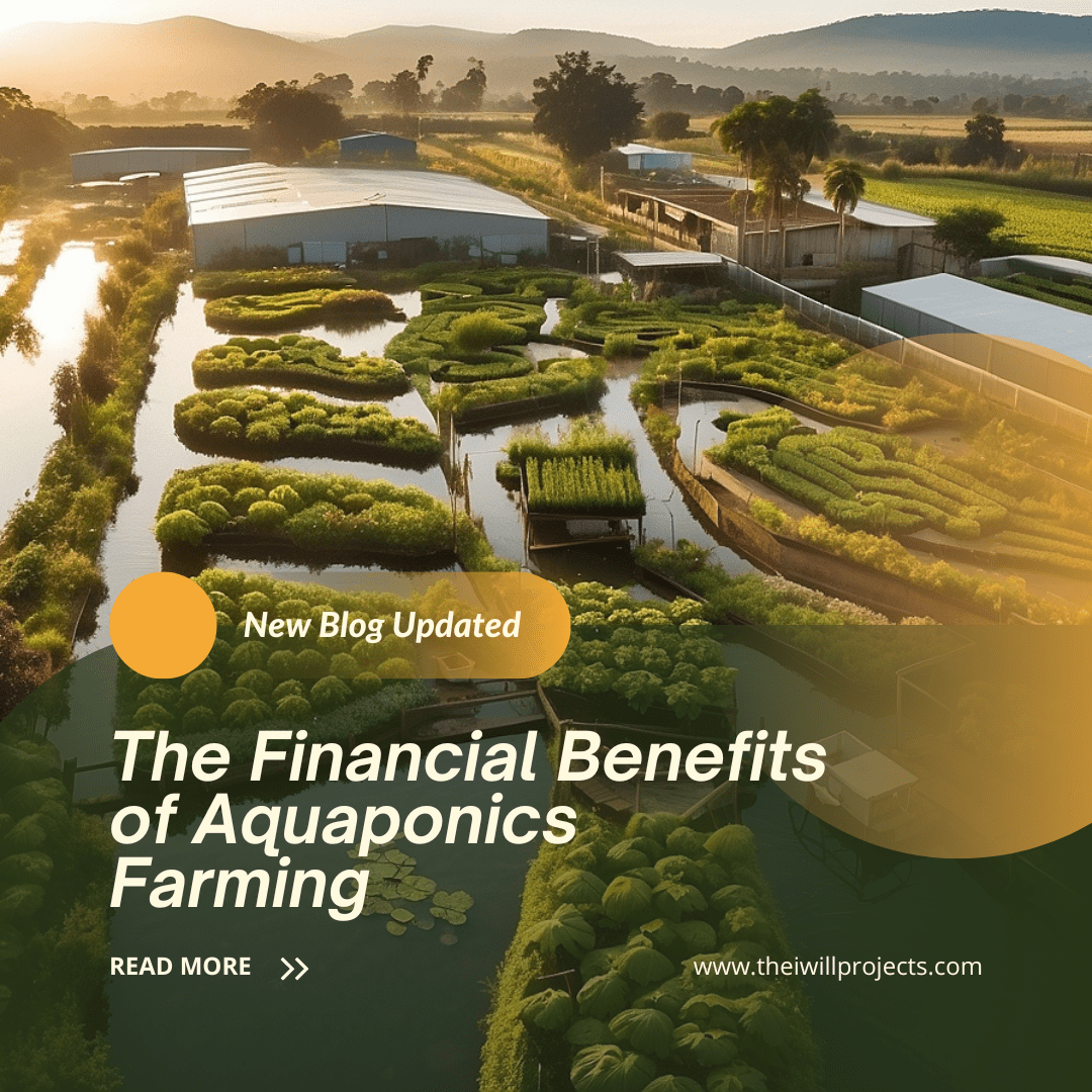 financial benefits of aquaponics farming