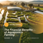 The Financial Benefits of Aquaponics Farming: A Comprehensive Analysis