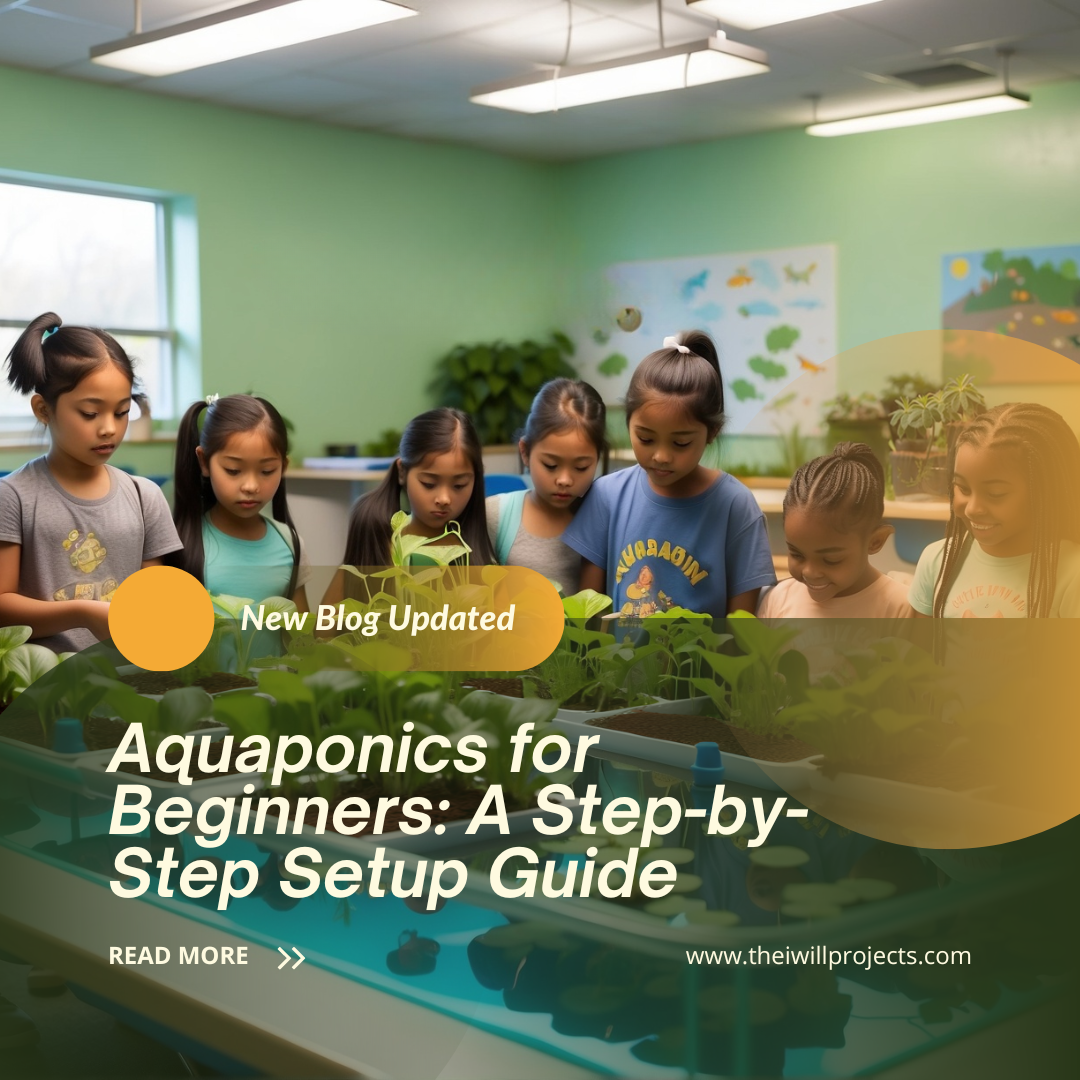 Aquaponics for Beginners