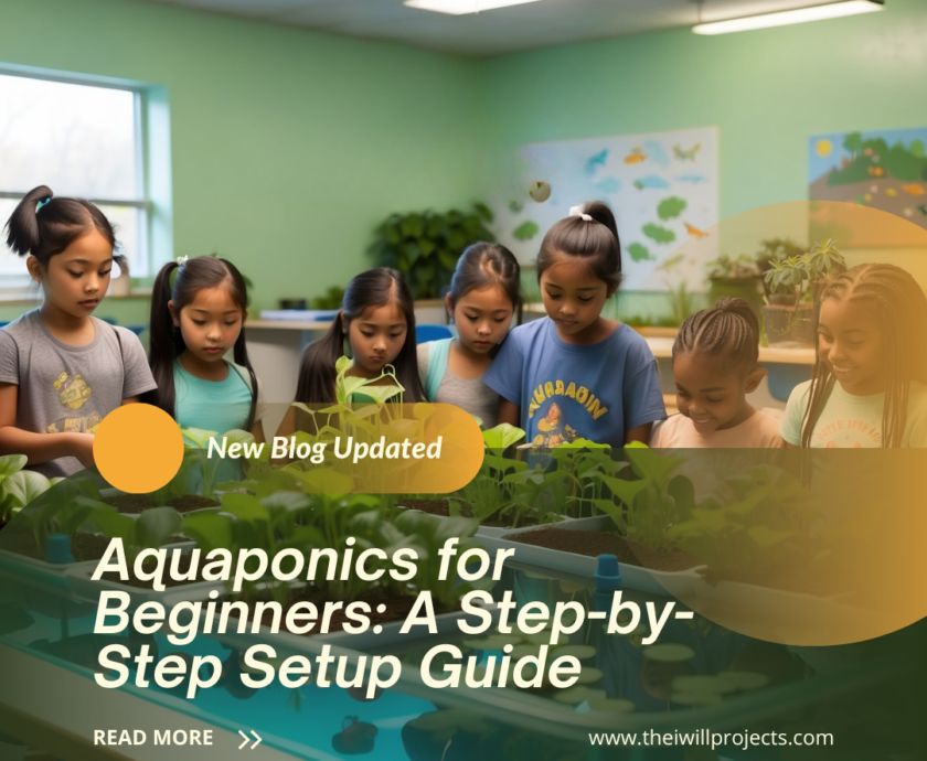 Aquaponics for Beginners