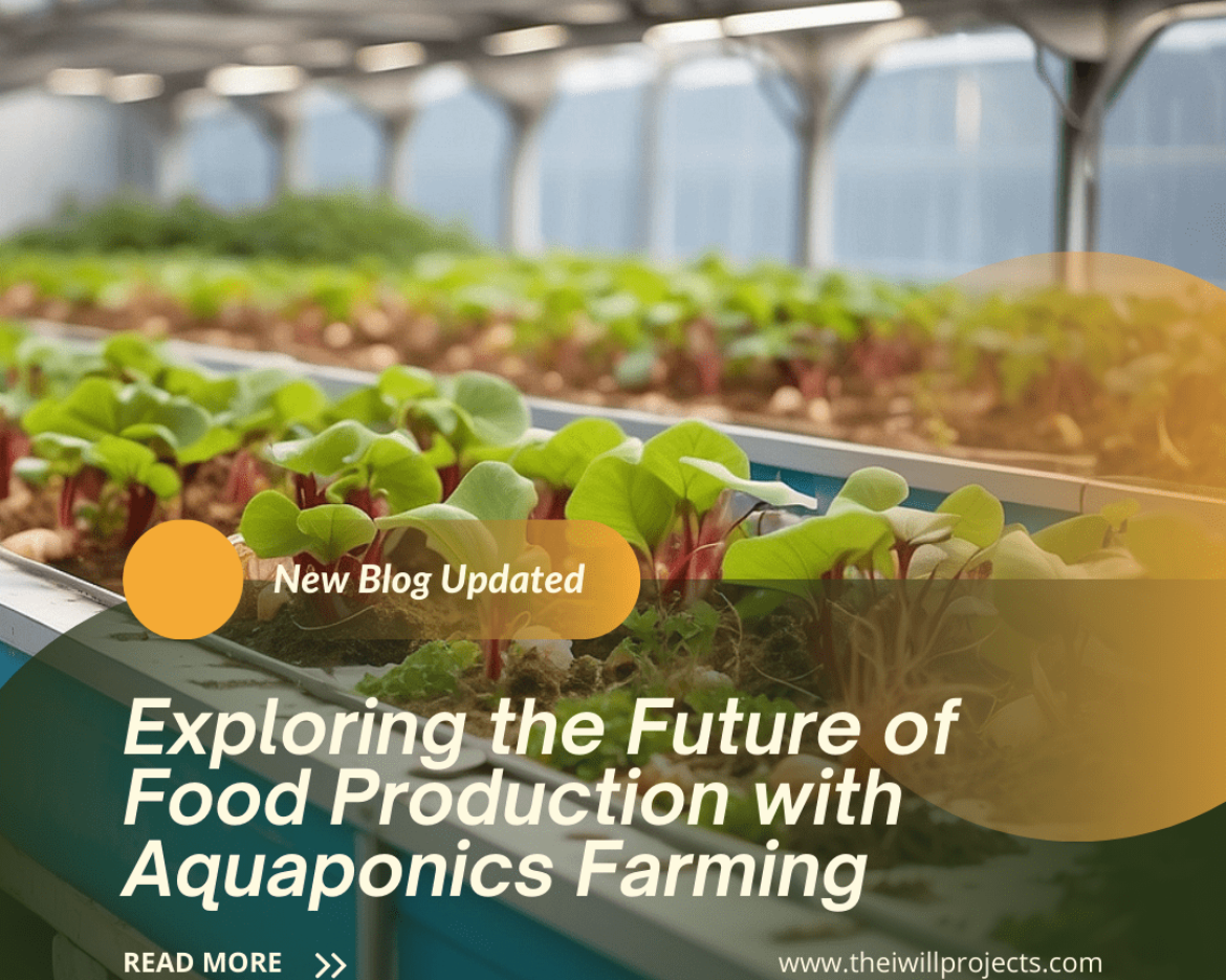 Aquaponics Farming