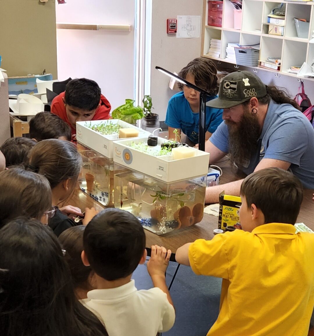 Aquaponics Activity Guide