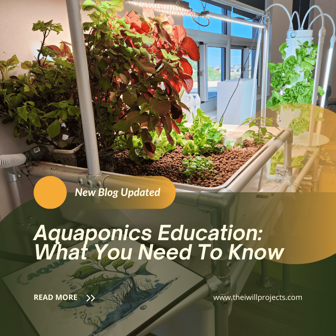Aquaponics Education