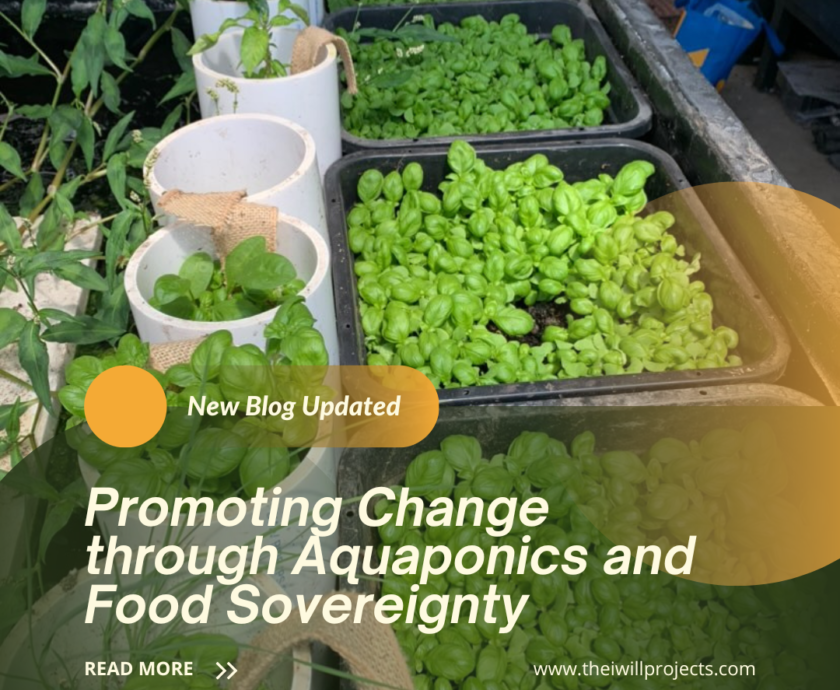 Food Sovereignty